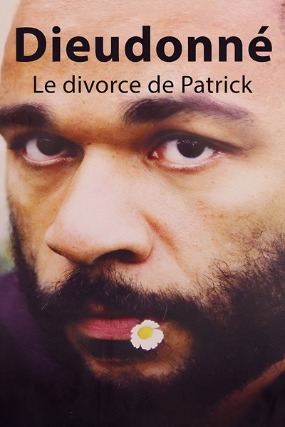 Póster de Le divorce de Patrick