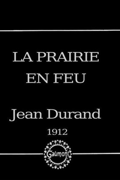 Póster de Le feu à la prairie