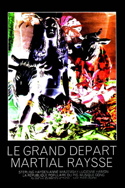 Póster de Le grand départ