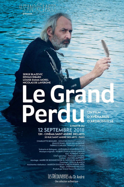 Póster de Le grand perdu