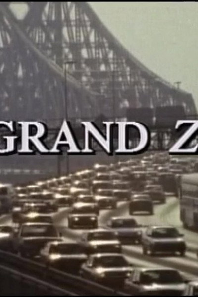 Póster de Le grand zèle