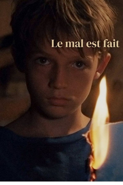 Póster de Le mal est fait