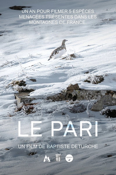 Póster de Le pari