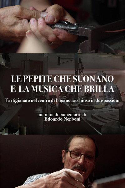 Póster de Le pepite che suonano e la musica che brilla