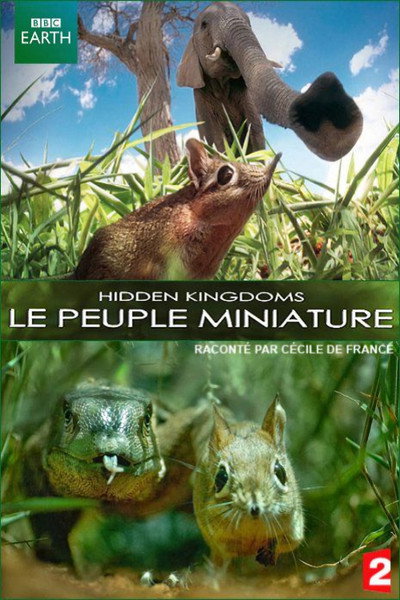 Póster de Le peuple miniature
