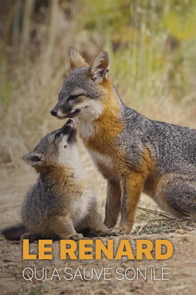 Póster de Le renard qui a sauvé son île