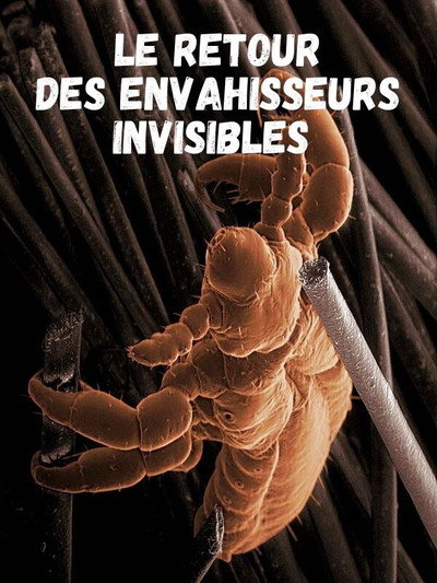 Póster de Le retour des envahisseurs invisibles