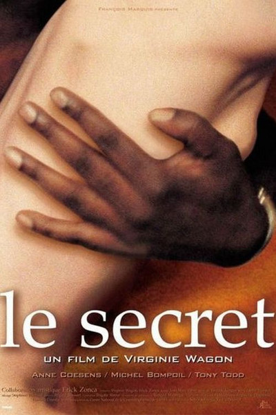 Póster de Le secret