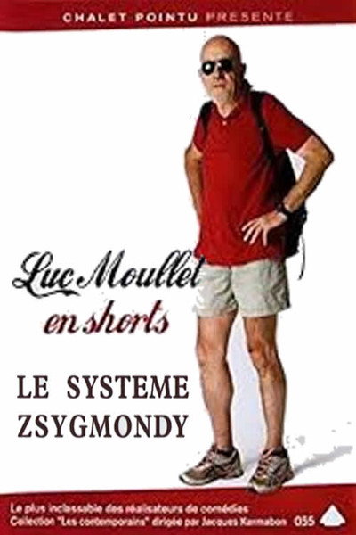 Póster de Le système Zsygmondy