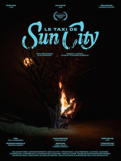 Póster de Le taxi de Sun City