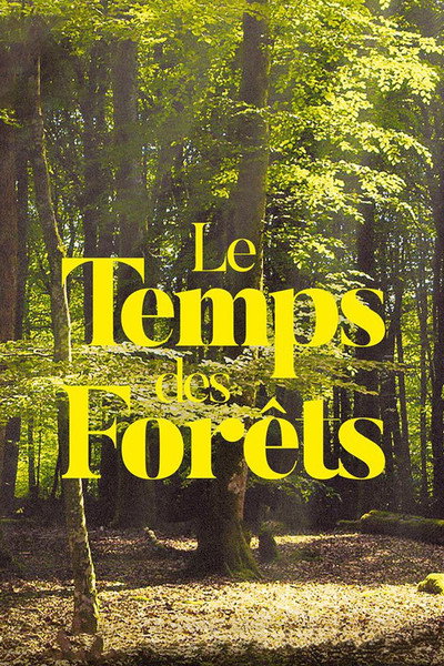 Póster de Le Temps des forêts