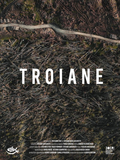 Póster de Le Troiane