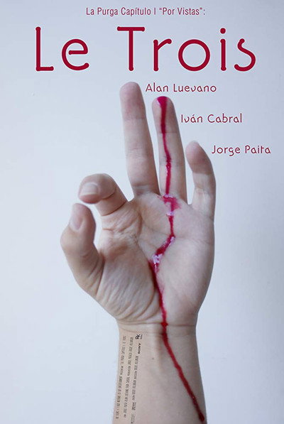 Póster de Le Trois