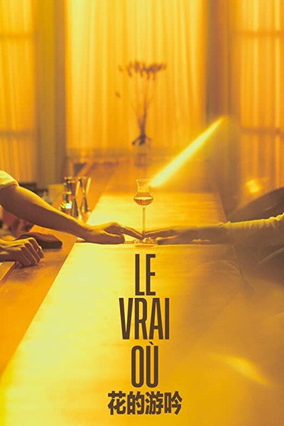 Póster de Le Vrai Où