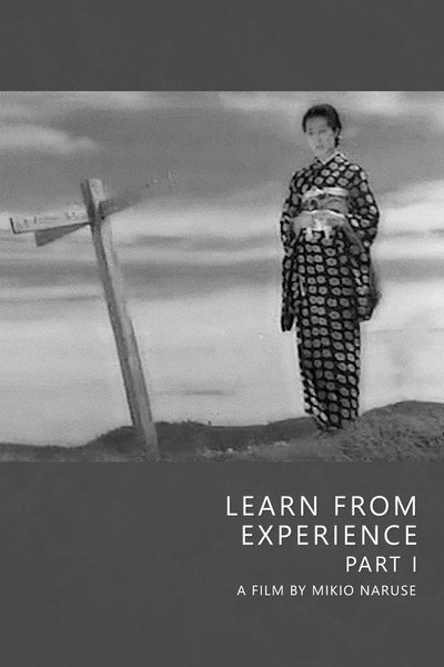 Póster de Learn from Experience, Part I