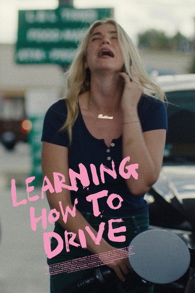 Póster de Learning How to Drive