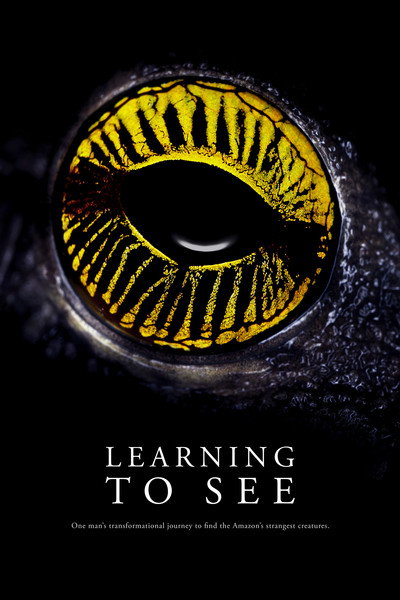 Póster de Learning to See: The World of Insects