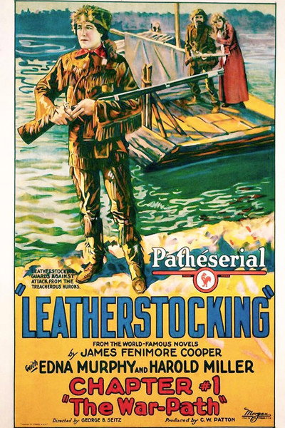 Póster de Leatherstocking