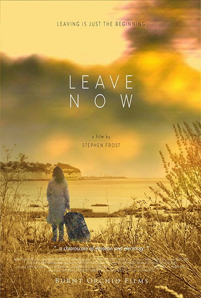 Póster de Leave Now