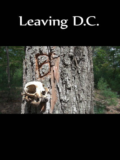 Póster de Leaving D.C.