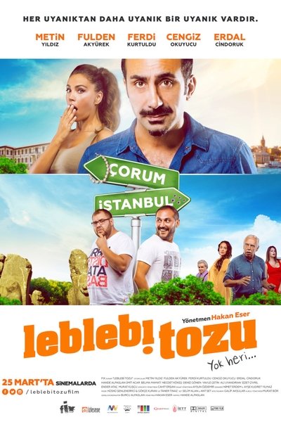 Póster de Leblebi Tozu