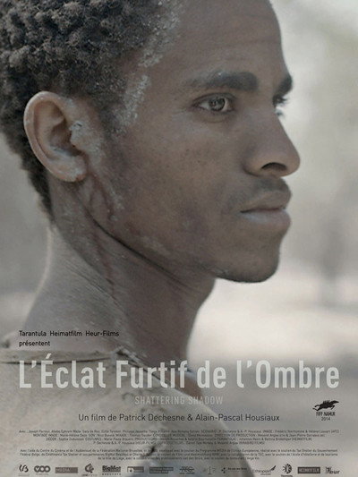 Póster de L'éclat furtif de l'ombre