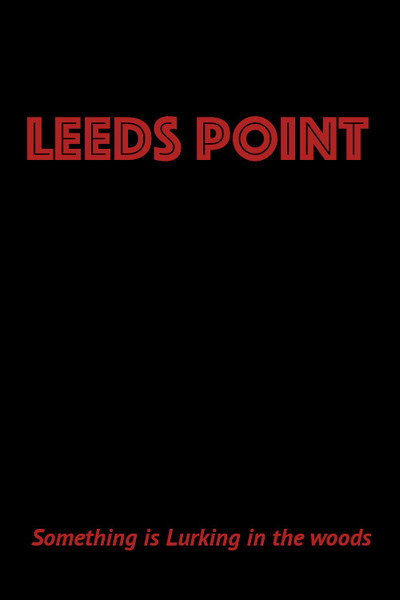 Póster de Leeds Point