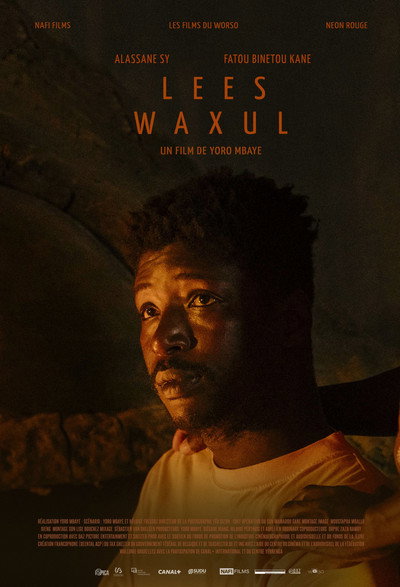 Póster de Lees Waxul