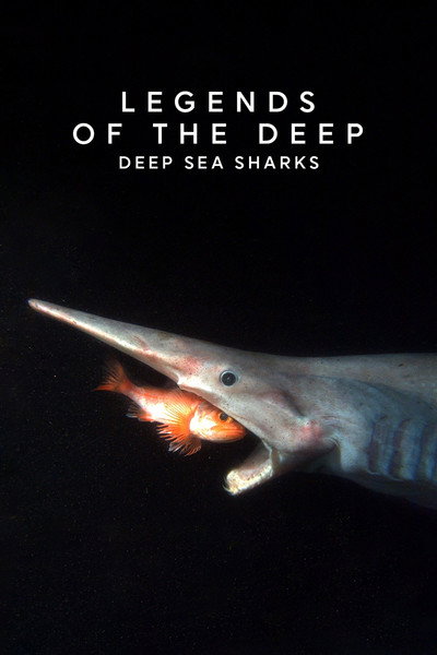 Póster de Legends of the Deep: Deep Sea Sharks