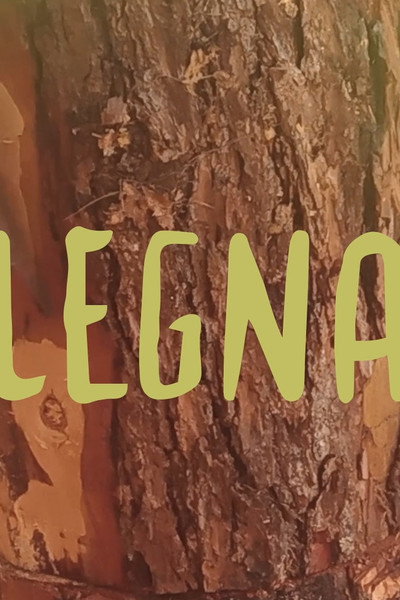Póster de Legna