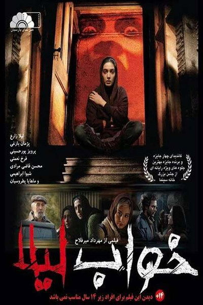 Póster de Leila's Dream