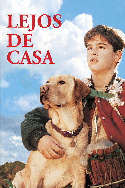 Póster de Lejos de casa