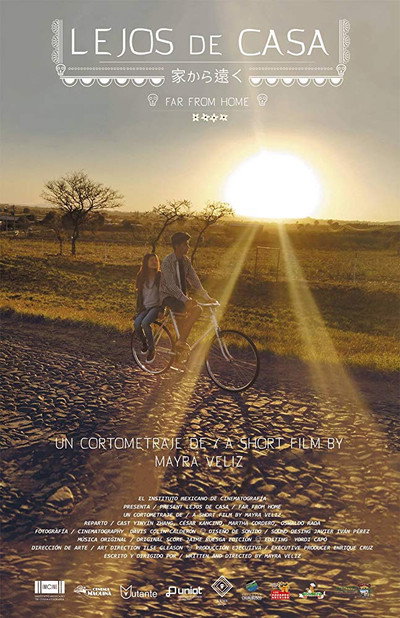 Póster de Lejos de casa