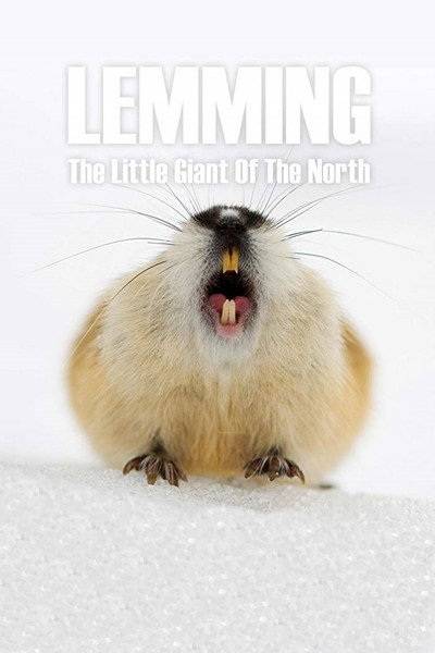 Póster de Lemming: The Little Giant of the North