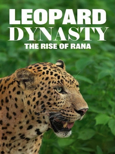 Póster de Leopard Dynasty-The Rise of Rana