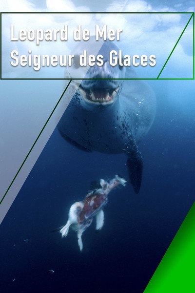 Póster de Leopard Seals: Lords of the Ice