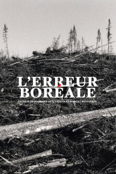 Póster de L'erreur boréale