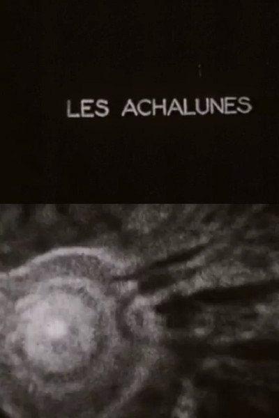 Póster de Les Achalunés