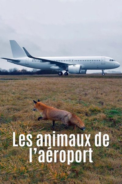 Póster de Les animaux de l'aéroport