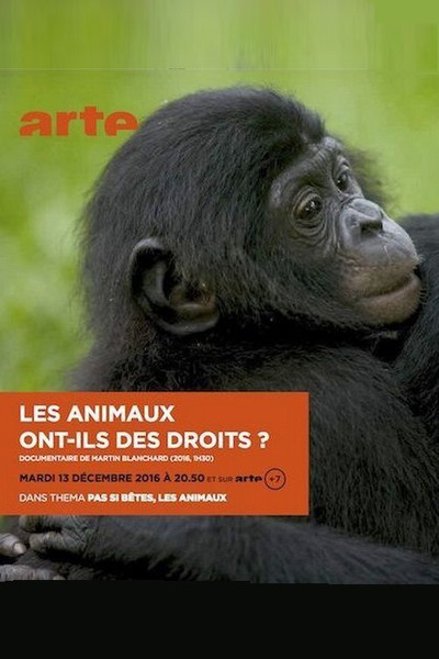 Póster de Les animaux ont ils des droits?