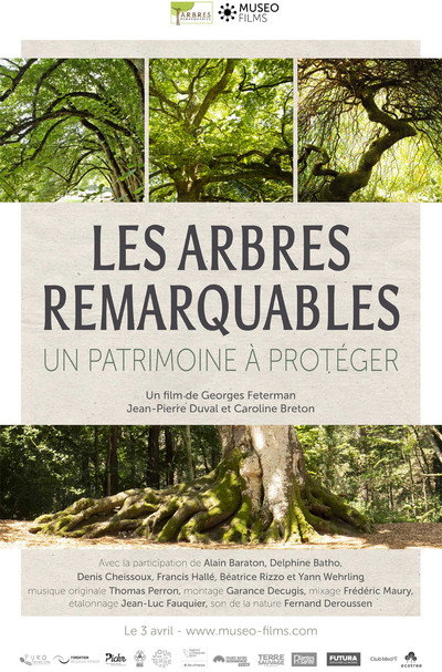 Póster de Les arbres remarquables - Un patrimoine à protéger