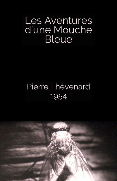 Póster de Les aventures d'une mouche bleue