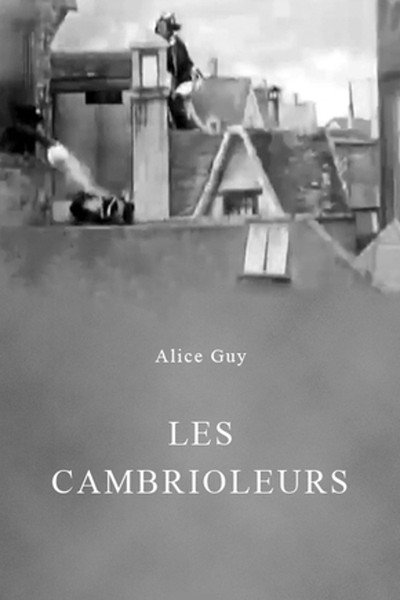 Póster de Les cambrioleurs