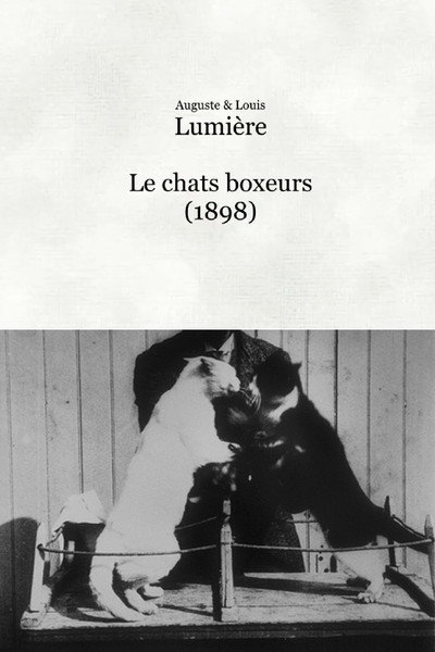 Póster de Les chats boxeurs