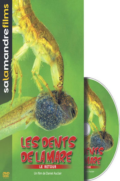 Póster de Les dents de la mare