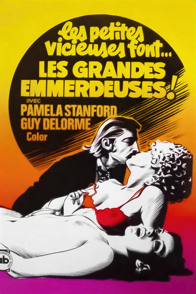 Póster de Les emmerdeuses