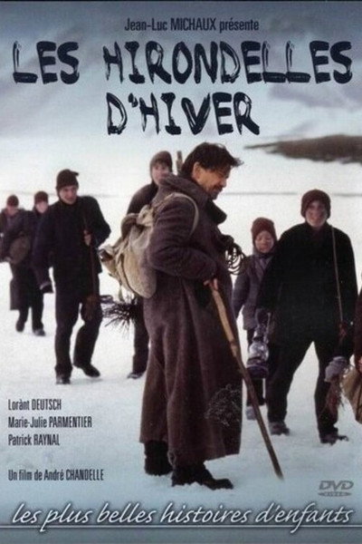 Póster de Les hirondelles d'hiver