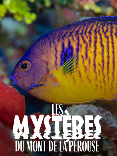 Póster de Les mystères du mont La Pérouse