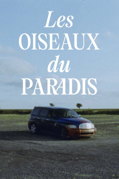Póster de Les oiseaux du paradis