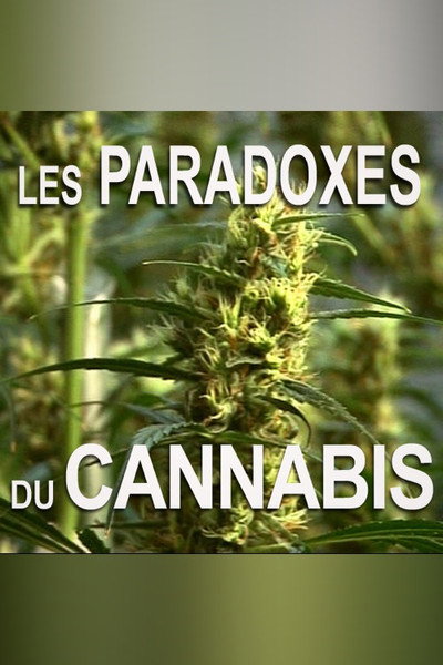 Póster de Les paradoxes du cannabis